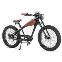 Urban Fat bike kopen